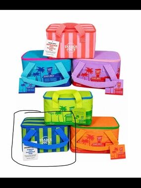 Trader Joe's Blue & Lime Green Striped Mini Insulated Bag